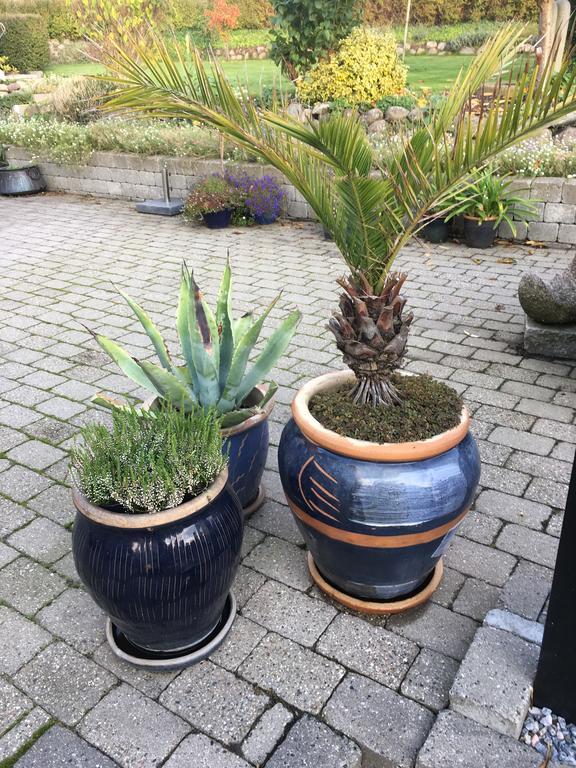 Ebeltoft Centrum Daire Dış mekan fotoğraf